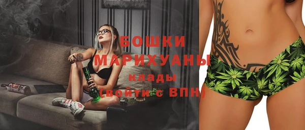 сатива Вязники