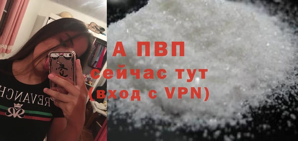 скорость Вяземский