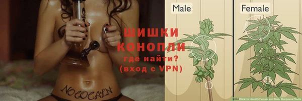 молекула духа Горняк