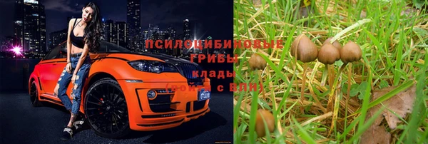 молекула духа Горняк