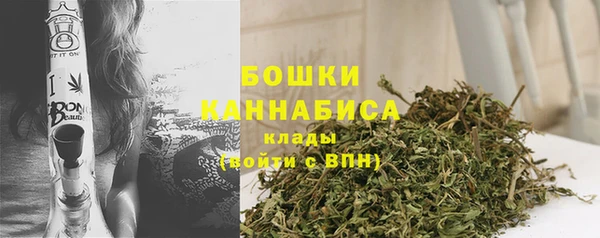 скорость Вяземский