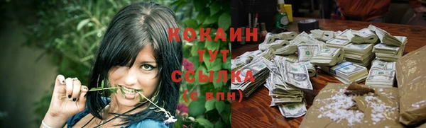 сатива Вязники
