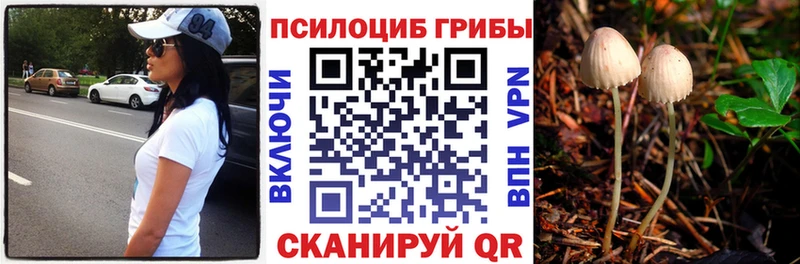 купить закладку Долинск Псилоцибиновые грибы GOLDEN TEACHER